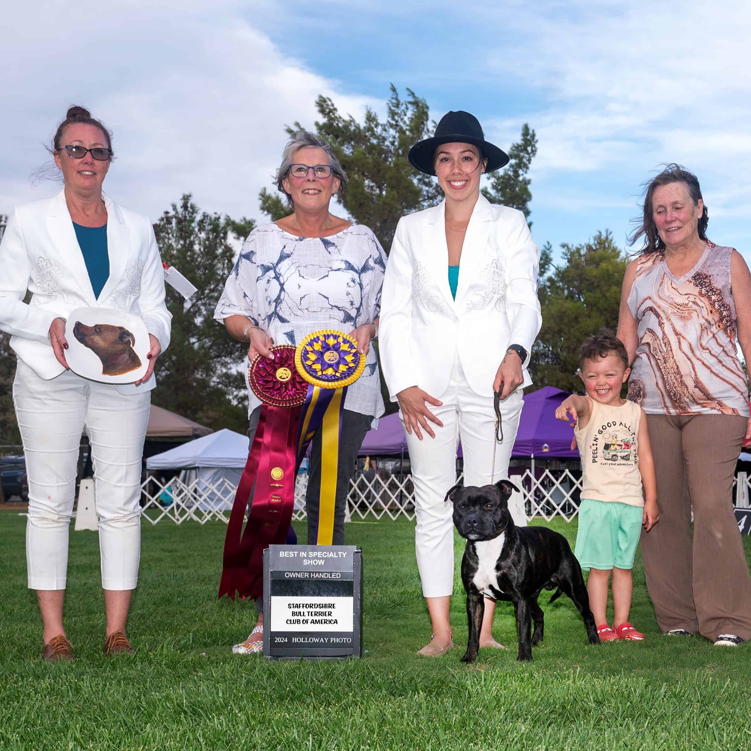 Staffordshire Bull Terrier Male