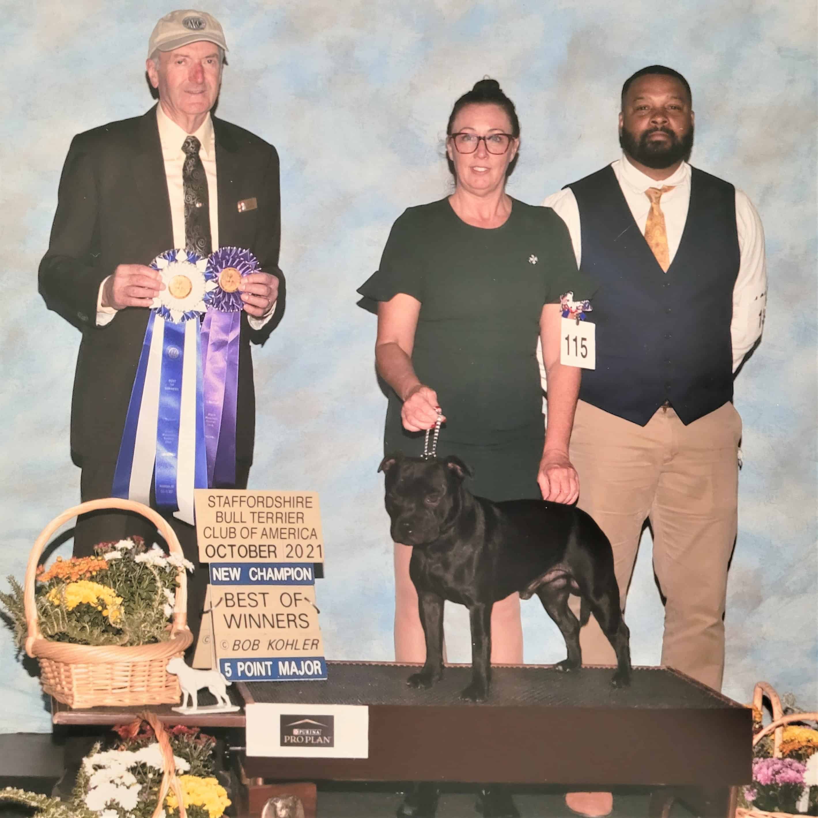 Black Staffordshire Terrier