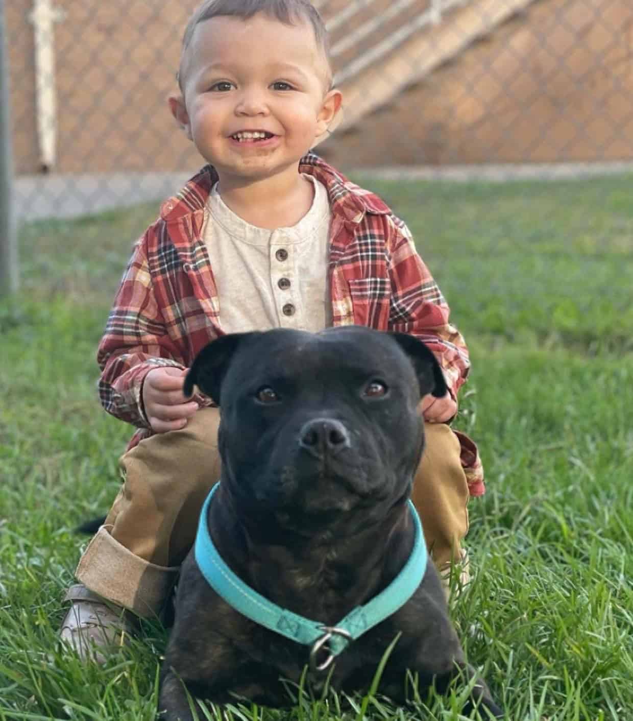 Smokey Stafford Male